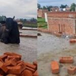 Screenshot_2025-07-10-19-52-25-91