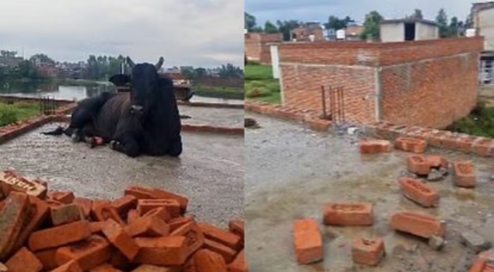 Screenshot_2025-07-10-19-52-25-91