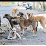 Screenshot_2025-09-15-14-20-07-58