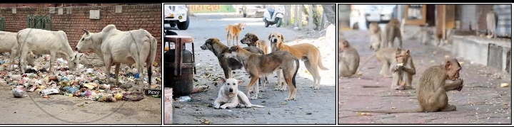 Screenshot_2025-09-15-14-20-07-58