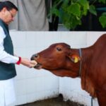 Screenshot_2025-10-22-13-06-51-30