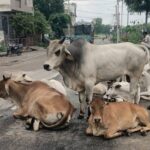 Screenshot_2025-11-06-14-08-19-38