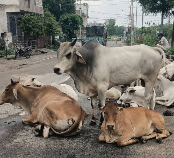 Screenshot_2025-11-06-14-08-19-38