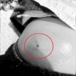 Screenshot_2026-01-15-13-00-28-88