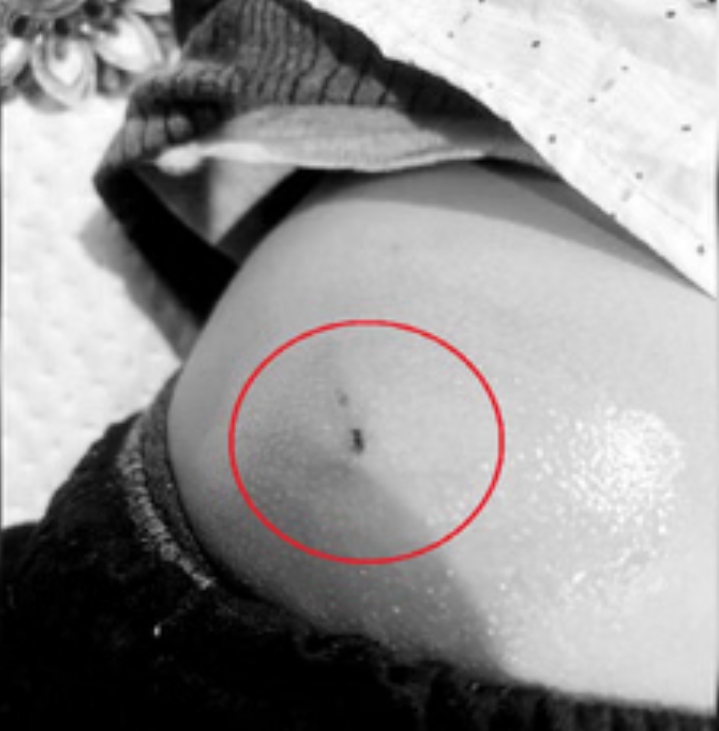 Screenshot_2026-01-15-13-00-28-88