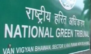 Screenshot_2026-02-12-12-59-08-89