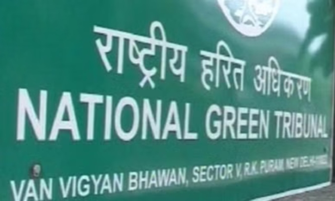 Screenshot_2026-02-12-12-59-08-89