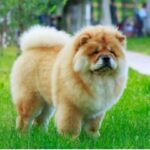 Screenshot_2026-03-13-20-35-31-08