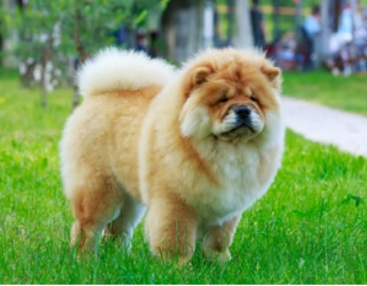 Screenshot_2026-03-13-20-35-31-08