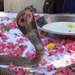IMG_20260816_181534